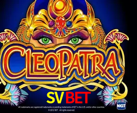 A Experiência Imersiva dos Cassinos Ao Vivo no SVBET